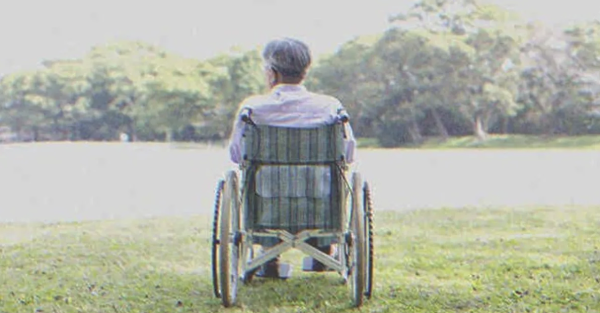 article img