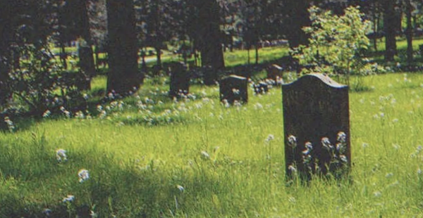 article img